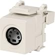 Leviton 005-40859-0BA Blank Wall Plate Inserts for Quickport Wall Plate