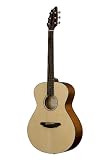 Breedlove Passport C200/SMP Guitar