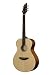 Breedlove Passport C200/SMP Guitar