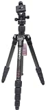 Benro C1690TB0 Travel Angel Stativ