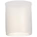 Kapsto 200 Z 16 x 20 Polyethylene Protective Cap, Natural, 16 mm Tube OD (Pack of 100)