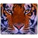 Allsop 30188 Memory Foam Mouse Pad (Tiger)