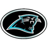 Carolina Panthers Color Auto Emblem