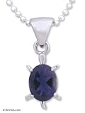 Iolite necklace, 'Crystal Turtle' 15.9 L