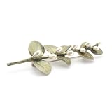 Irish Thorn Brooch by Michael Michaud
