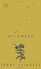 Milkweed