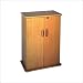 Locking Multi Media Storage Cabinet
