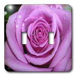Flowers - Purple Rose - Light Switch Covers - double toggle switch