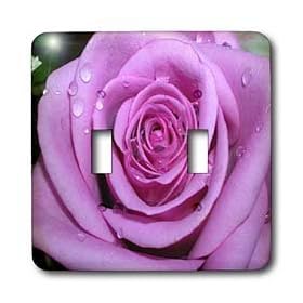 Flowers - Purple Rose - Light Switch Covers - double toggle switch