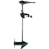 Minn Kota Demo Endura TransomMount Motors