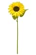 12 Pieces of 28" Giant Artificial Sunflower with Frosted Leaves and Stems