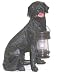 labrador34 - Black Labrador Dog With Solar Lantern Light