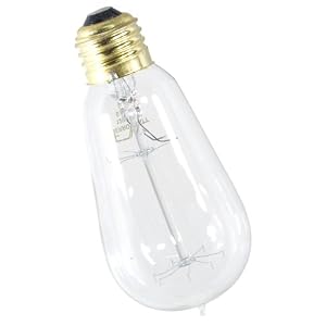 Genuine FerroWatt 1910N Squirrelcage Filament 60 Watt Antique Reproduction Light Bulb