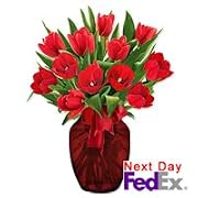 Floral Tulip - Red Lounge