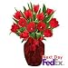 Tulip - Red Lounge