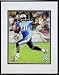 Photo File Tennessee Titans Vince Young Framed Photo-Size: One Size