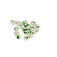 BUY : TASTE Specialty Foods Wasabi, Peas, 5 Pound Box