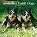 Australian Cattle Dogs 2010 Wall Calendar