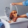 Rinse Ace Indoor Outdoor Pet Sprayer