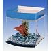 Aqua Tank Betta - Penn plax beta bow front cubed tank