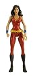 DC Universe Classic Donna Troy Figure
