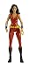 DC Universe Classic Donna Troy Figure