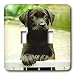 Dogs Labrador Retriever - Cute Labrador Puppy - Light Switch Covers - double toggle switch