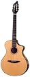 Breedlove Master Class Nylon Nouveau Acoustic Nylon Guitar, Made in U.S.A.