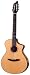 Breedlove Master Class Nylon Nouveau Acoustic Nylon Guitar, Made in U.S.A.