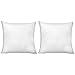 HIPPIH 20 x 20 Inch Pillow Inserts (Set of 2), Decorative Throw Pillow Inserts, Hypoallergenic Square Pillow Form Insert with Zips, Upgraded