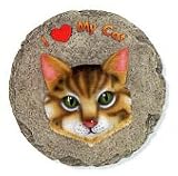 Stepping Stone - Tabby