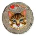   - Stepping Stone - Tabby
