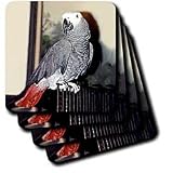 Birds - African Grey Parrot - Coasters