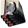 Birds - African Grey Parrot - Coasters