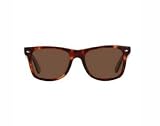 Vintage Classic Leopard Tortoise Wayfarer Style Sunglasses