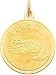 persian9 - 14K Gold Persian Cat Disc Charm