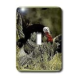 Birds - Wild Turkey Gobbler - Light Switch Covers - single toggle switch