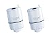 PUR Faucet Mount Replacement Water Filter - Basic 2 Pack