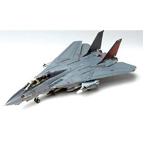 1 48 F-14A USN Bombcat from Toy RC Airplanes
