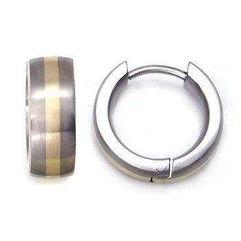 Titanium Gold Inlay Huggie Hoop Earrings