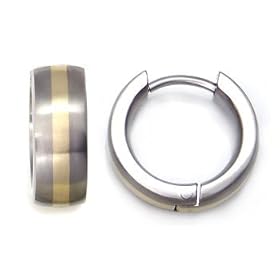 Titanium Gold Inlay Huggie Hoop Earrings