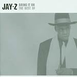 Bring It On:Best of Jay Z book cover