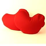 Valentines Day Pillow 2-Pack