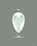 Wheatpaste Art Collective Barn Owl Stretched Canvas Wall Art by Bee Things, 24-Inch by 30-Inch
