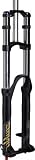 RockShox Domain RC Dual Crown Coil 200 Maxle 20 Black '11 Fork