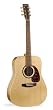 Norman Encore Acoustic-Electric B20 High Gloss Guitar