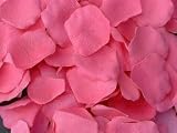 1000 Fushia Wedding Silk Rose Petals
