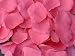 Tanday Fuschia 1000 Hand-cut Silk Rose Petals Wedding Party Favors .