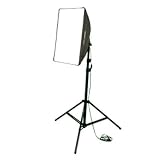Walimex Daylight Set 250 Studioset (250 Watt Daylight, Softbox 40 x 60 cm und Lampenstativ)