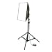 Walimex Daylight Set 250 Studioset (50 W Spirallampe, Softbox 40x60 cm, Frontdiffusor, Lampenstativ, Transporttasche)